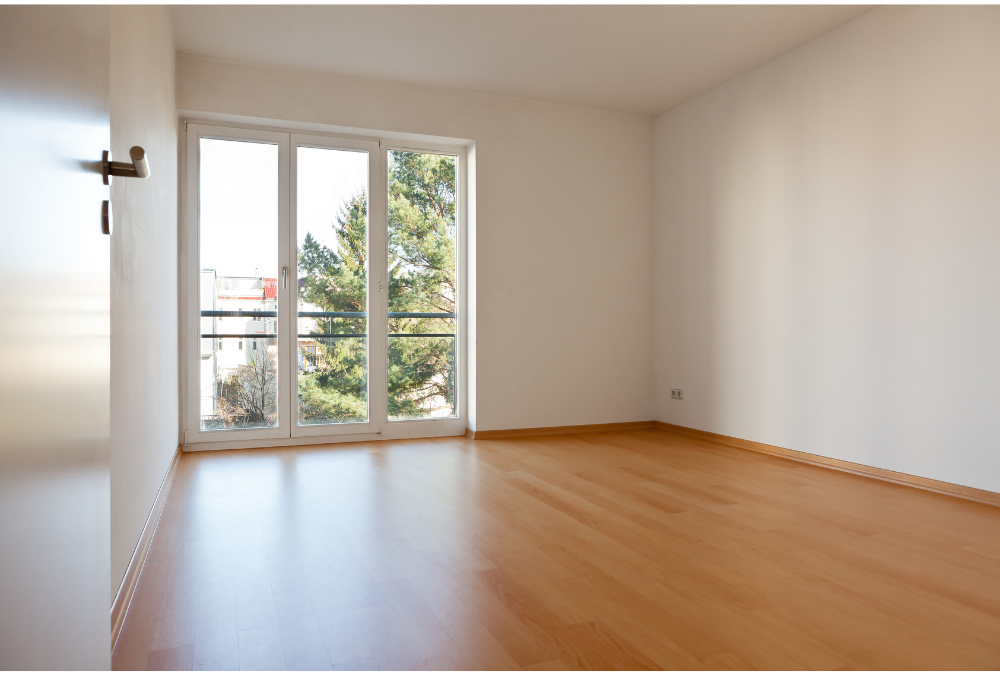 Adventures in Adulting