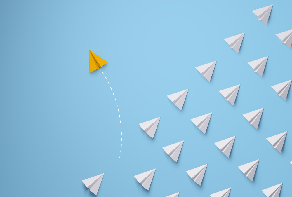 My Search For Purpose in College